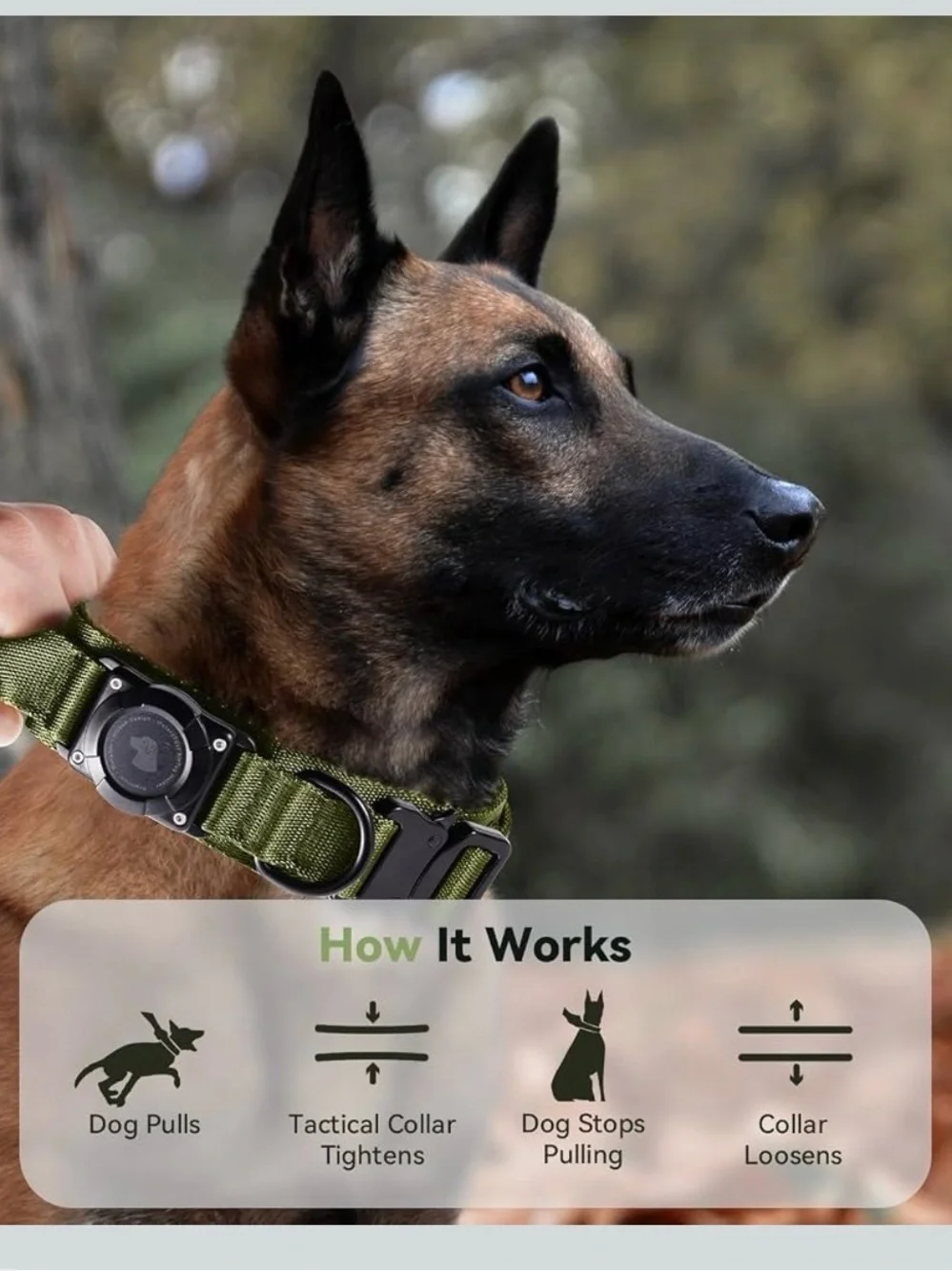 Waterproof, Military Tactical AirTag Dog Collar